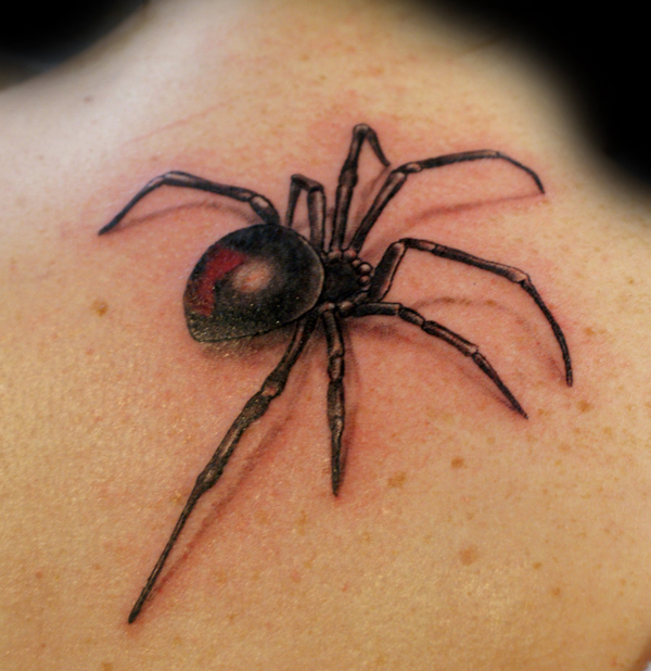 13 spider by uken Spider Tattoo Design Ideas