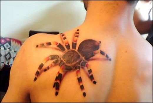 1350808 f520 Spider Tattoo Design Ideas