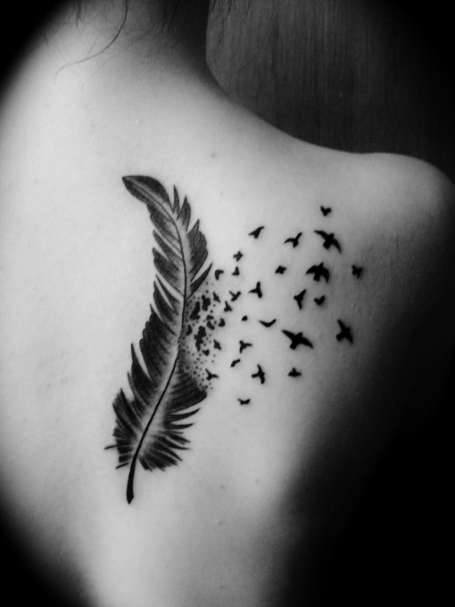Nice Bird Feather Tattoo Design Feather Tattoos Design Ideas