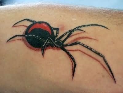 black spider tattoos design Spider Tattoo Design Ideas